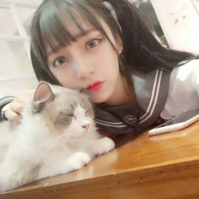 彩虹联萌vivo版最新版下载
